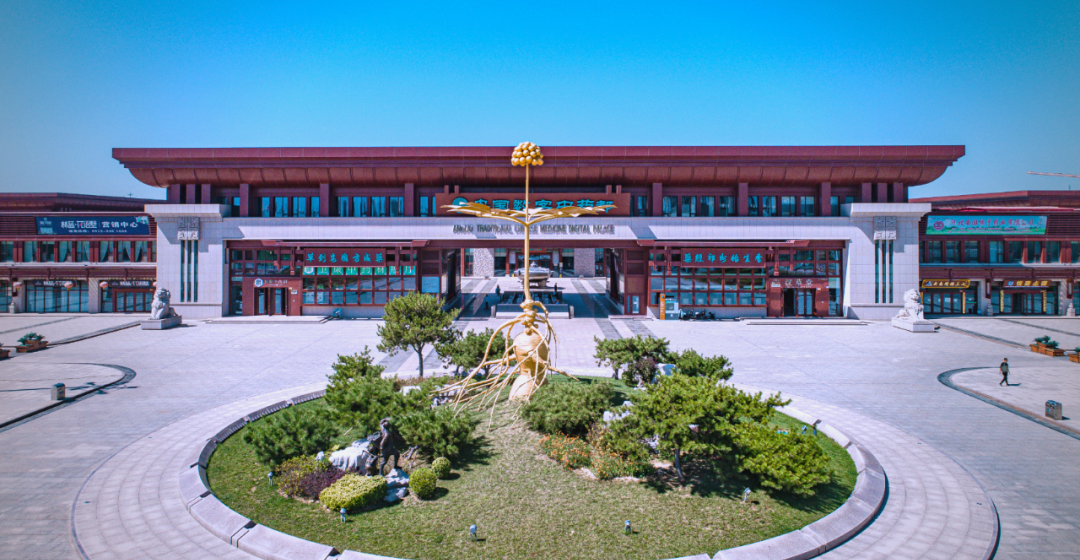 河北省安国中药材专业市场